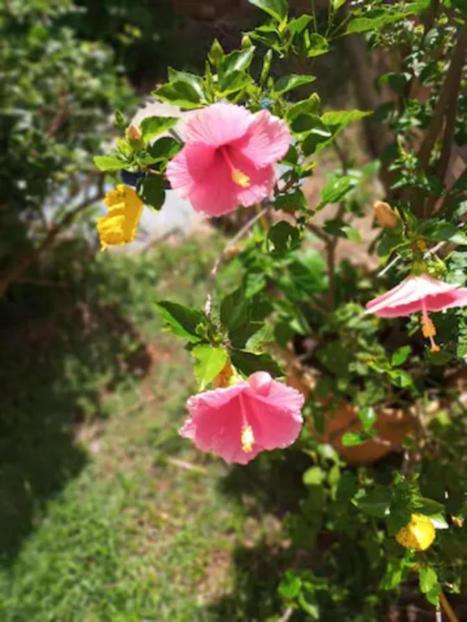 Casa Com Spa De Hidro, Aquecedor E Cromoterapia A 1,0 Km Do Centro Chapada dos Guimarães Eksteriør bilde